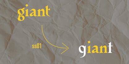 Evgen Font Poster 13
