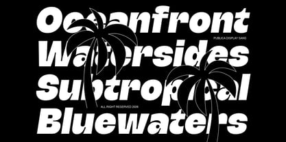 Publice Font Poster 7