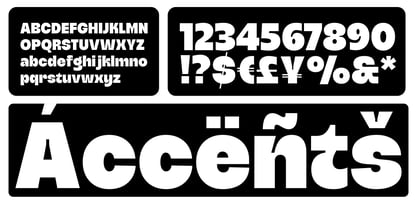 Publice Font Poster 10