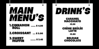 Publice Font Poster 3