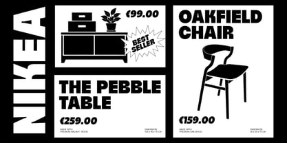 Publice Font Poster 5