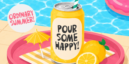 Ordinary Summer Font Poster 5