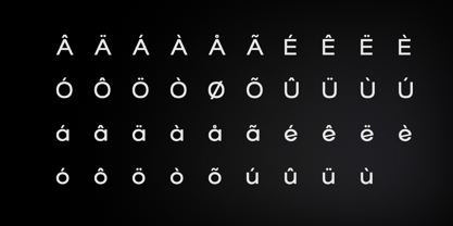 Elvon Grotesk Font Poster 7