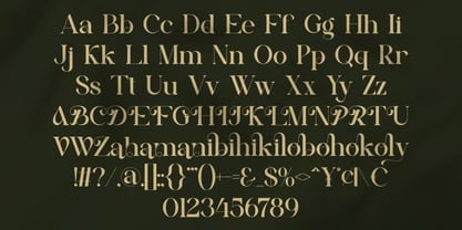 Noktey Font Poster 4