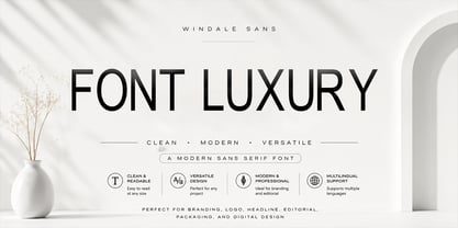 Windale Sans Font Poster 4