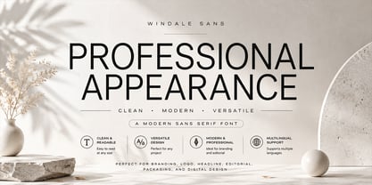 Windale Sans Font Poster 5