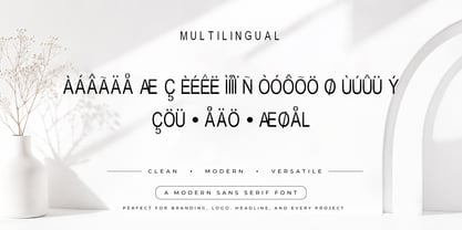 Windale Sans Font Poster 6