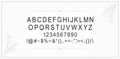 Windale Sans Font Poster 2