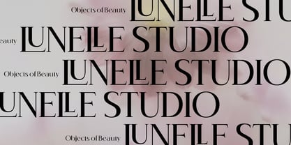 BrandNew Family Font Poster 6