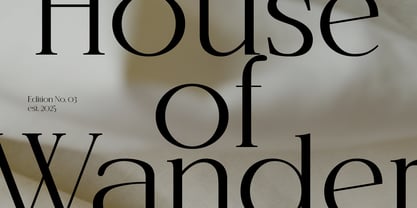 BrandNew Family Font Poster 8