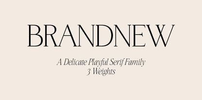 BrandNew Family Font Poster 1
