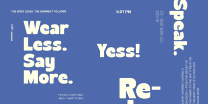Negula Font Poster 9