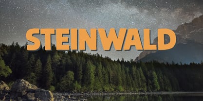Steinwald Pro Font Poster 1