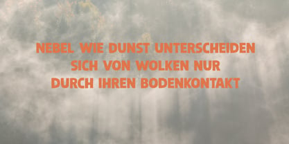 Steinwald Pro Font Poster 4