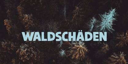 Steinwald Pro Font Poster 3