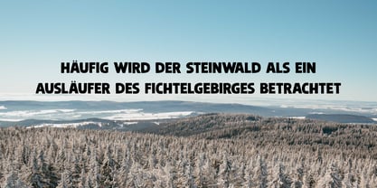 Steinwald Pro Font Poster 2