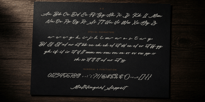 Master Signature Font Poster 9
