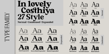 Costhiya Font Poster 4