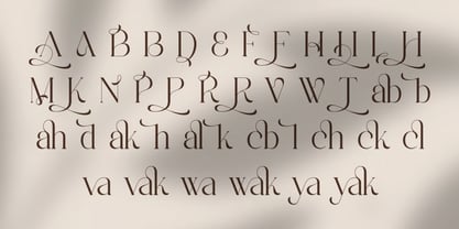 Hapfew Font Poster 5