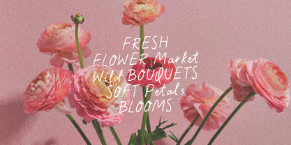 Apricot Moon Garden Font Poster 12