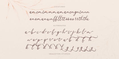 Mafuinka Font Poster 12