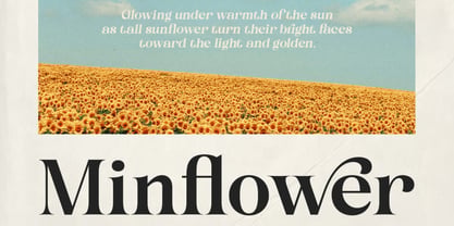 Drakry Font Poster 4