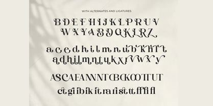 Drakry Font Poster 5