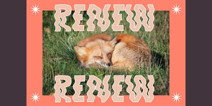 Foxy Font Poster 9