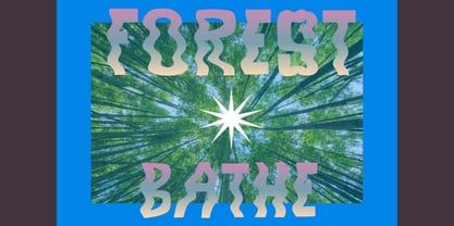 Foxy Font Poster 10