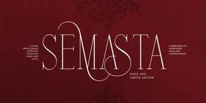 Disthero Font Poster 5