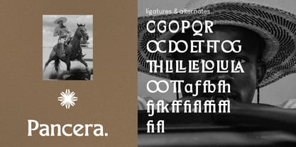 Merchad Font Poster 2