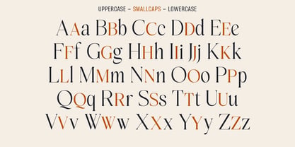 Del Rose Font Poster 14