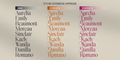 Del Rose Font Poster 12