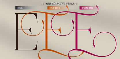 Del Rose Font Poster 13