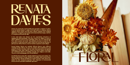 Rochela Font Poster 5