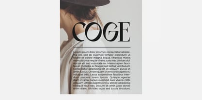 Daklog Font Poster 5