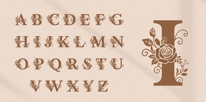 Lunéa Font Poster 7