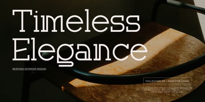 Corina Elegant Font Poster 3
