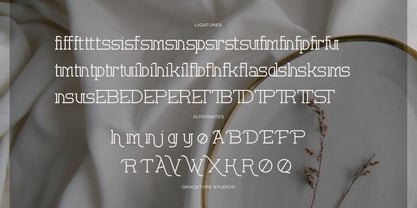Corina Elegant Font Poster 12