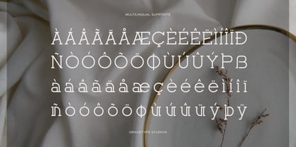 Corina Elegant Font Poster 11