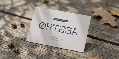 Corina Elegant Font Poster 8