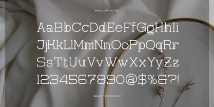 Corina Elegant Font Poster 10