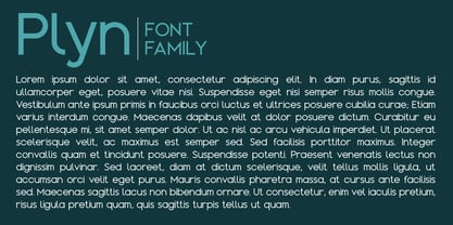 Plyn Font Poster 7