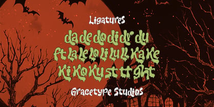 Drolling Maker Font Poster 12