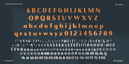 Gradualist Font Poster 9