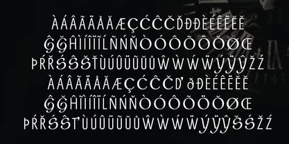 Bonito Sans Font Poster 12