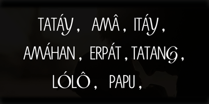 Bonito Sans Font Poster 9