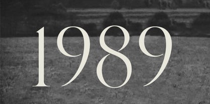 Magentha Summer Font Poster 5