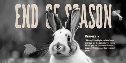Cringer Sodaeuy Font Poster 3