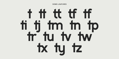 Restanica Font Poster 8